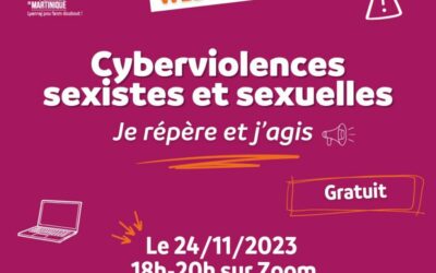 Web atelier cyberviolences sexistes et sexuelles : je repère et j’agis