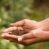 Journée internationale des femmes du monde rural –  Je renonce