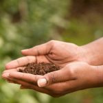Journée internationale des femmes du monde rural -  Je renonce